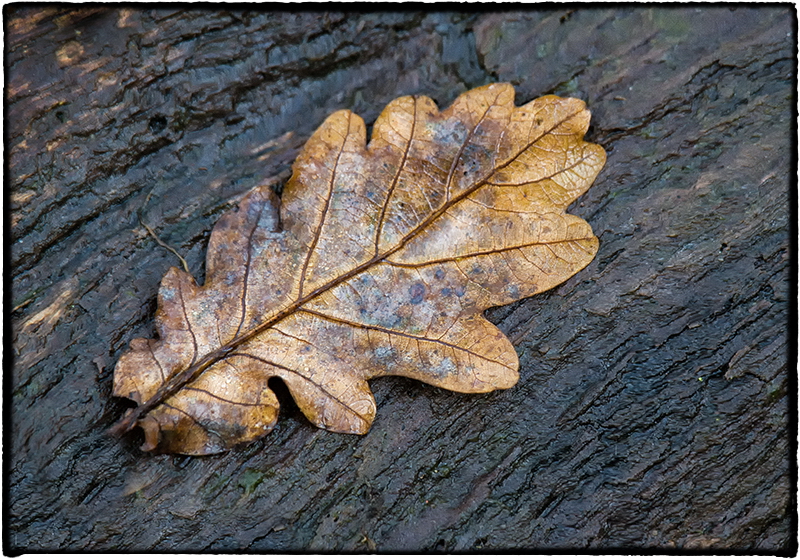 A! 11133897-Bearbeitet-Bearbeitet als Smartobjekt-1 Kopie.jpg